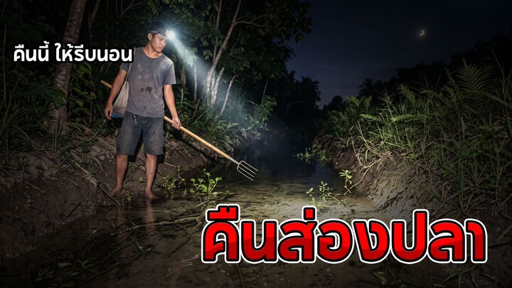 คืนส่องปลา | คืนนี้ให้รีบนอน