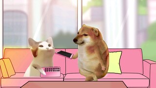 你懂你的妻子吗