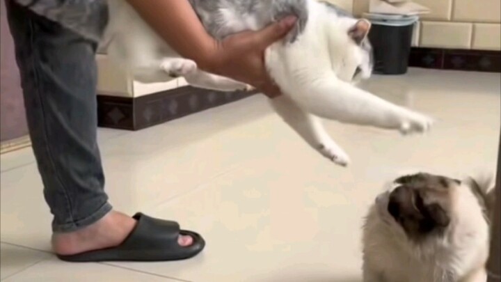 Bộ sưu tập tình yêu chung của Hakimi 1