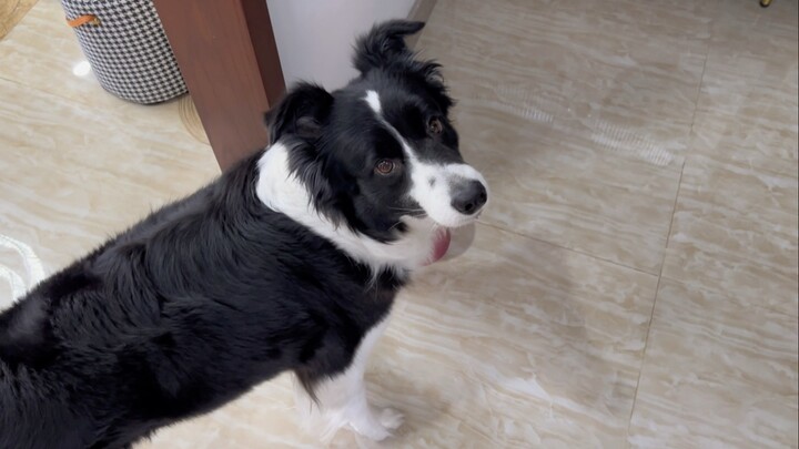 Once you have the button, if you drop even one word from "eat" or "drink," the process isn't complet