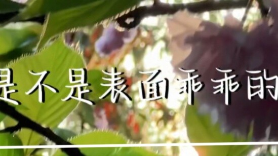Bề ngoài bạn ngoan ngoãn nhưng miệng bẩn, trái tim vàng nhưng đằng sau lại là tình yêu trong sáng?