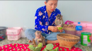 Nature Become More Real, Adorable Toto & Yaya really enjoy eating lotus flower as a natural habit