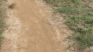 PT Susantri permai 2