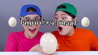 (Ep:19) ชวนมาชิม: ไข่นกกระจอกเทศ