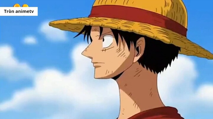 Top 5 cuộc chia tay xúc động nhất trong One Piece! 9