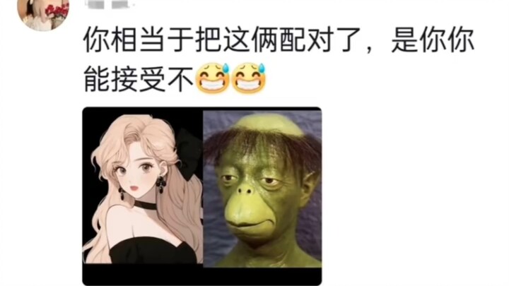 Saat Boneka Dapet Pacar Kucing Tiga Warna, Si Kucing Tiga Warna Benar-Benar Membencinya ‖ Kucing Tig