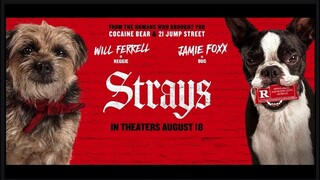 Movie Strays 2023 Sub Indo