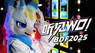 [BDF2025 theme song | House dance cover] Hear Wo! Full song fursuit cover