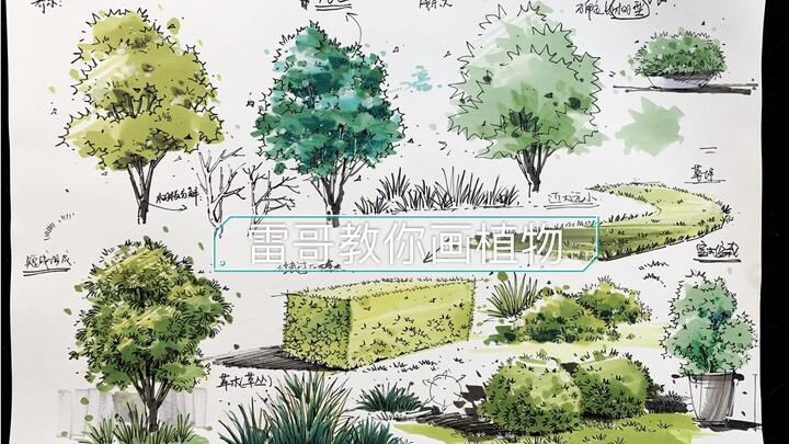 Lego teaches you how to draw plants