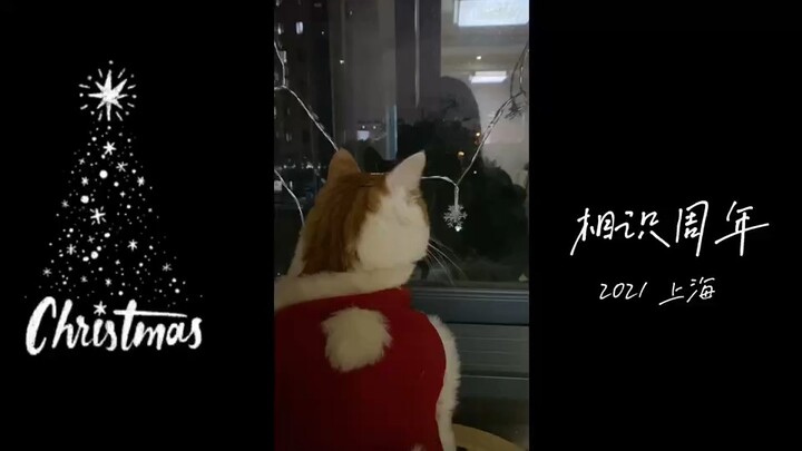 2021christmas’s part