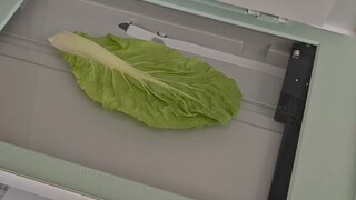 Why is this printer acting like this???