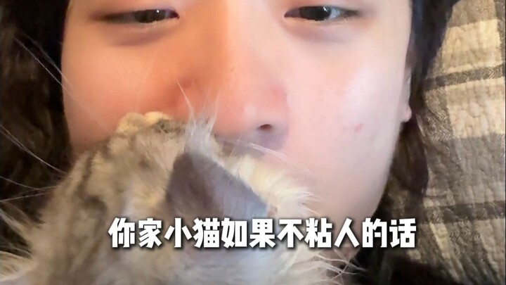 Kucing tidak manja? Saya akan berbagi satu cara yang merugikan kucing dan diri sendiri agar kucing t