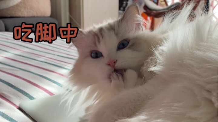 แมวน้อยยังรู้จักดื่มน้ำตั้งแต่เช้าเลย!