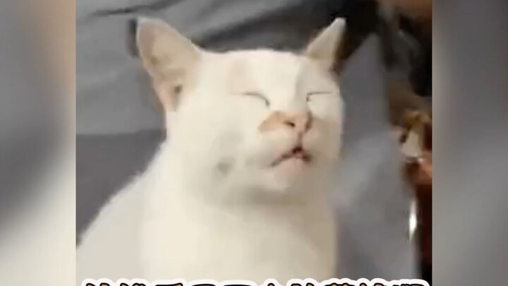 Yang mereka jelaskan dalam sains itu cuma nggak bisa ditusuk, bukan nggak bisa ditekan!