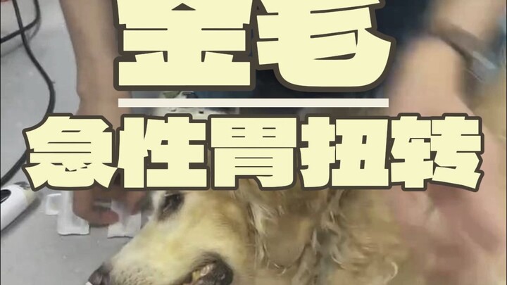 เจอเคสอันตรายสุดๆ อีกแล้ว! ตอนจบมีเซอร์ไพรส์ด้วยนะ!