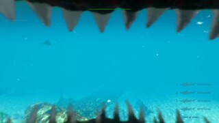 Shark Attack Deathmatch 2-I'm The Shark Now