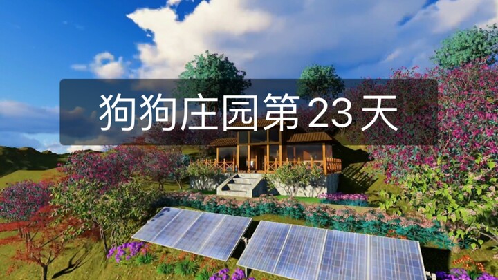 Ngày thứ 23 xây dinh thự trên núi cho lũ cún, tôi mang về từ làng một chú chó!