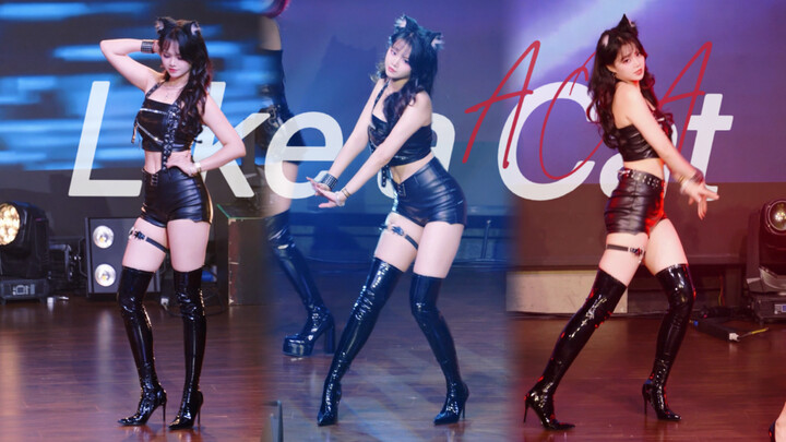Let the little kitten steal your heart~ | Catwalk Charm – AOA