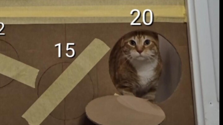 Cat: I have plenty of strength and means.