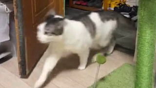 Beautiful things are happening