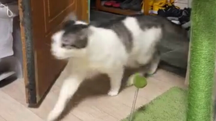 شيء جميل يحدث