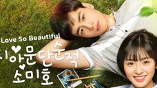 A Love So Beautiful (2017)