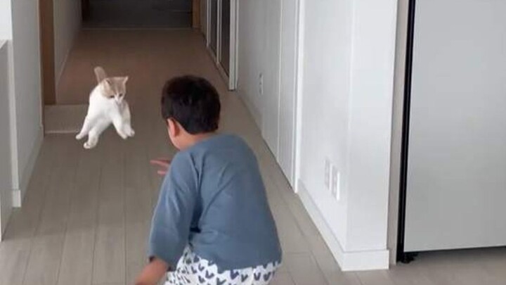 When you have a vindictive Scorpio kitten...