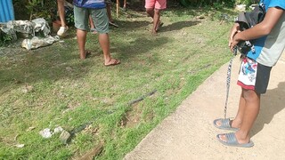 Talisayin kotra sa pula
