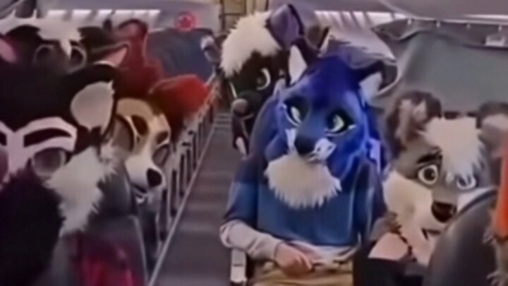 Khi cơ trưởng là anti-furry, còn trên máy bay toàn là furry