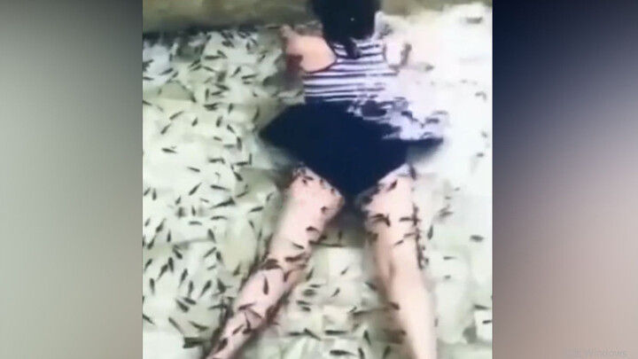 [Humor]Sungguh Memalukan! Sungguh Menghina!