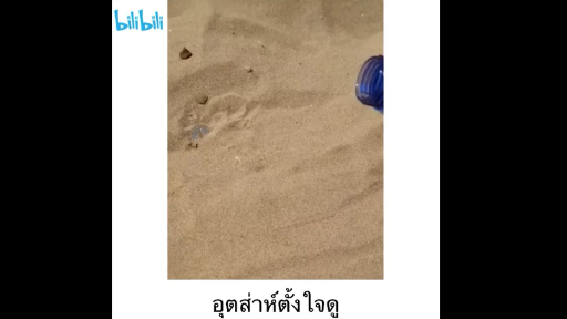 อุส่าห์ตั้งใจดู
