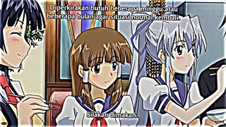 mengharem dulu Harem Harem harem