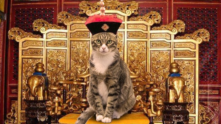 The museum with the highest “cat quotient,” where cats are displayed alongside the Dragon Throne