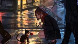 [Anime Mix] It's Raining For Seven Years In Shinkai's Movies