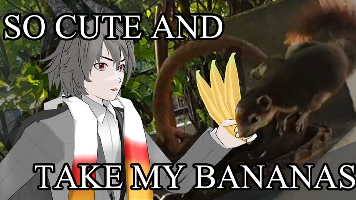 😈 Feed bananas for my squirrel.