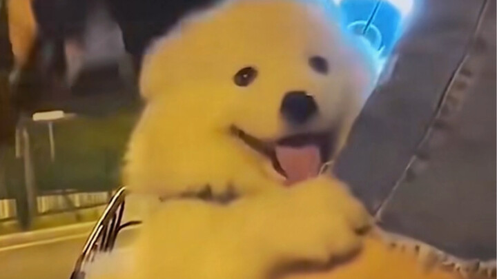 “รถคันเล็กไม่แพง ยี่ยี่ก็มีที่จอดส่วนตัวด้วย!”