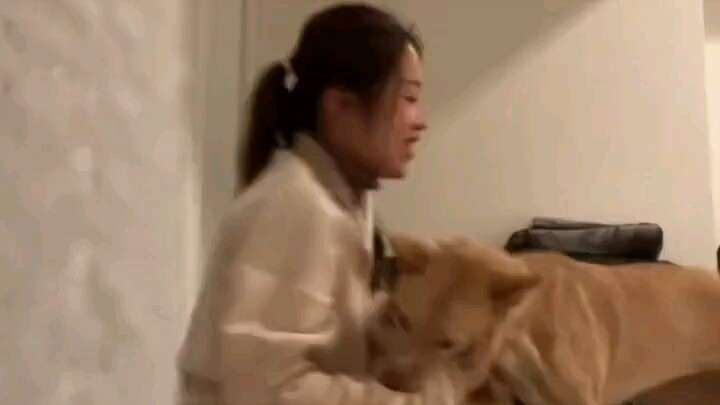 إنتاج شركة R، لا بد أنه منتج ممتاز.