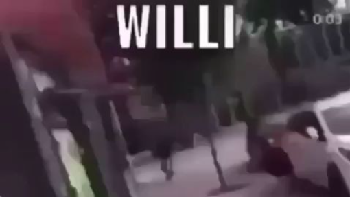 Willi Willi