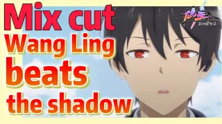 [The daily life of the fairy king]  Mix cut | Wang Ling beats the shadow