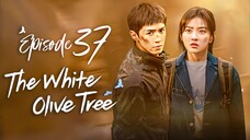 EP37 The.White.Olive.Tree (2025)