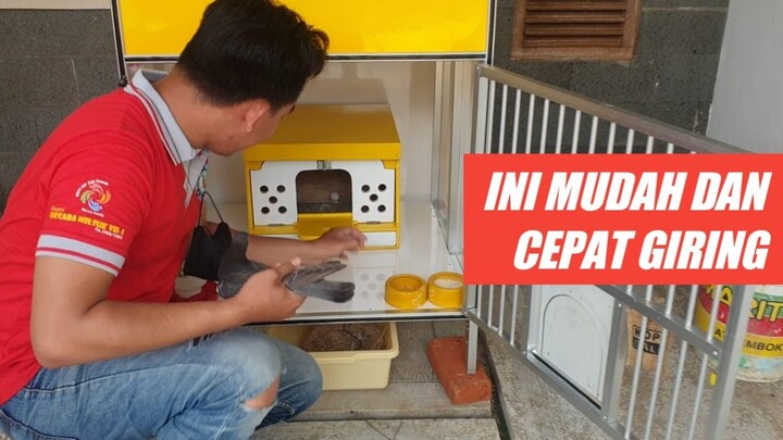 CABUT TELUR SIMPEL DARA MANISKU | Dara Manisku