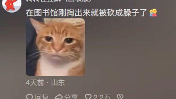 花了399在网上抢了一台笔记本，网友：光是开机就已经燃尽了吗…？
