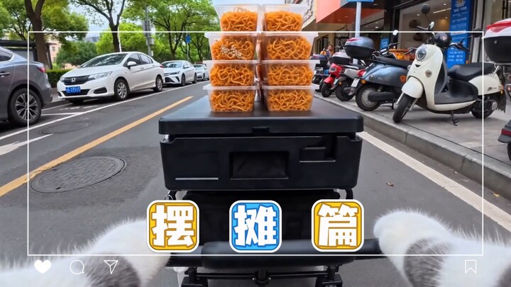 Zhu Mi Experiences 100 Different Professions Vlog (Street Stall Edition)