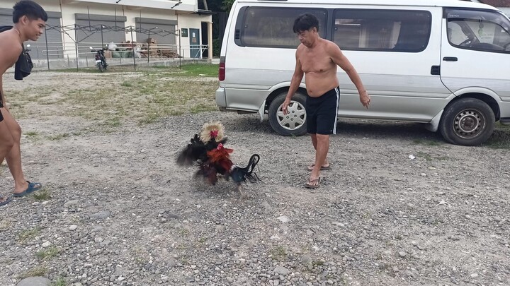 palongpalo