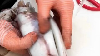 Nguyên liệu làm món mực nướng đã sẵn sàng