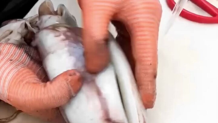 The ingredients for grilled squid are ready