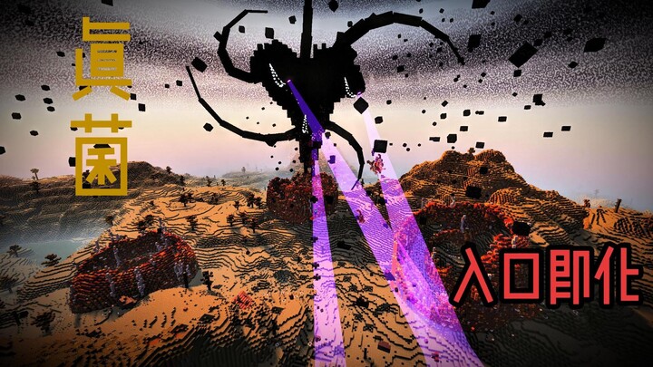 Makanan Prasmanan Jamur