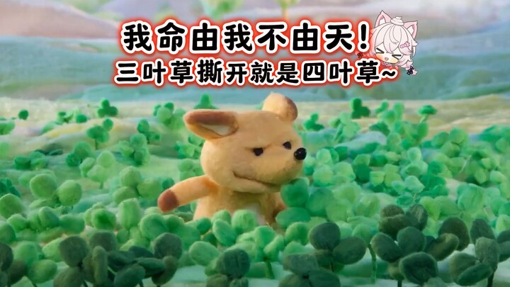 Chân trượt của Hồ Nam – Cô cáo xui xẻo ૮ ˃̣̣̥⌓˂̣̣̥ა