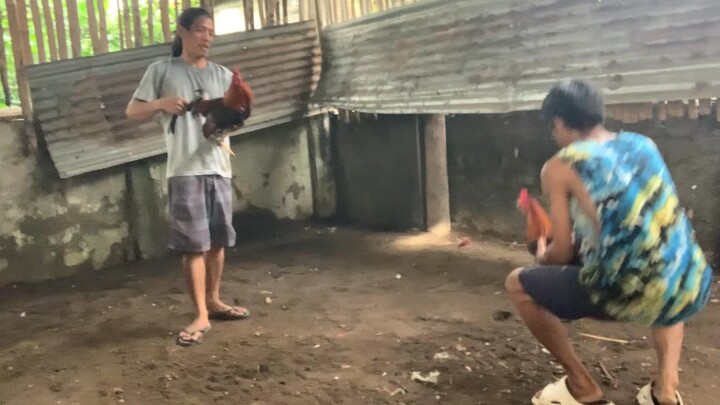 Bruce barnett vs YLH