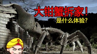 【唐唐】笑尿了！美国烂片太雷了！大钳蟹拆家是什么体验？